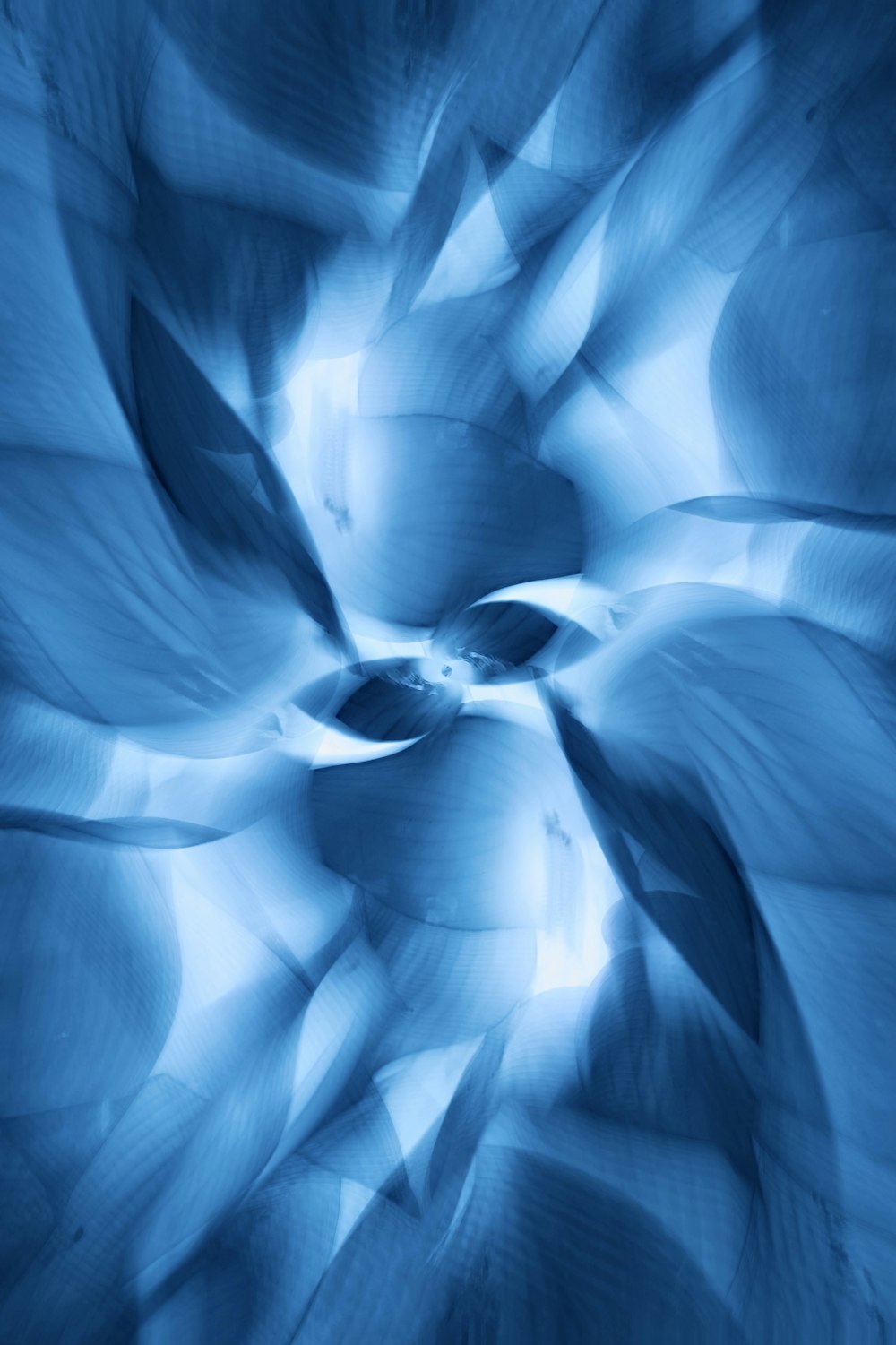 a blue flower is shown in the middle of a picture