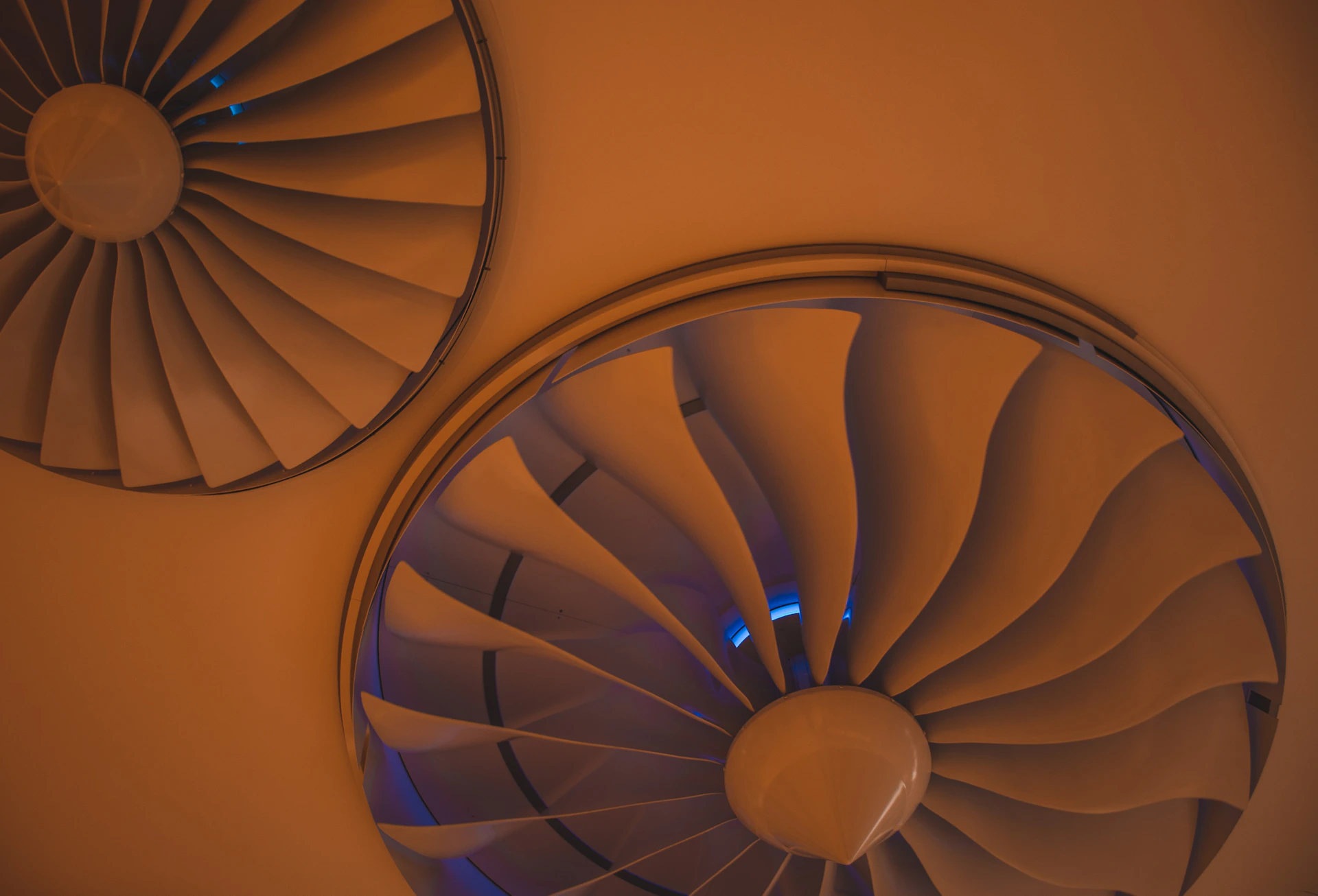 a close up of two fans on a wall