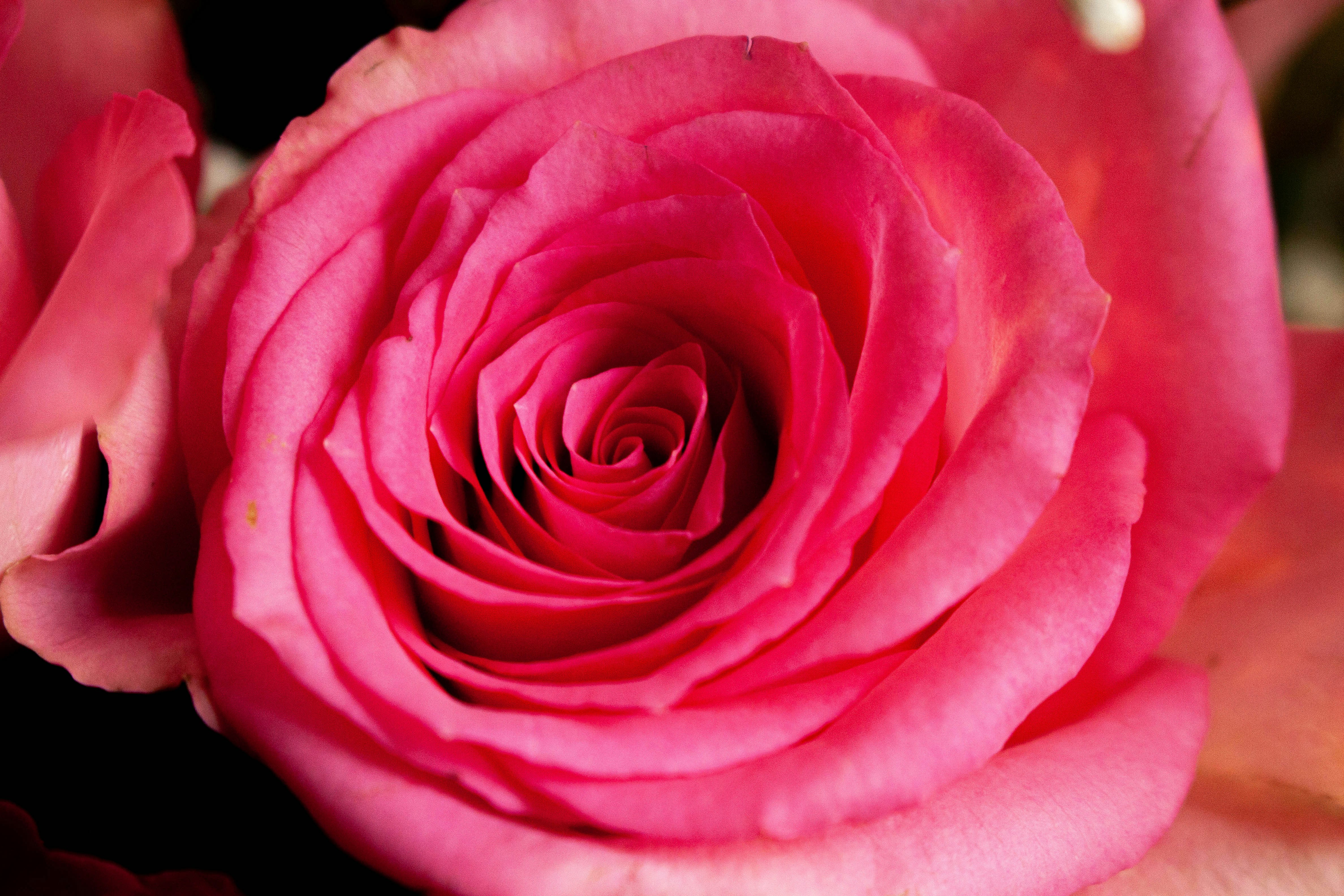 Photo by kamillaisalieva