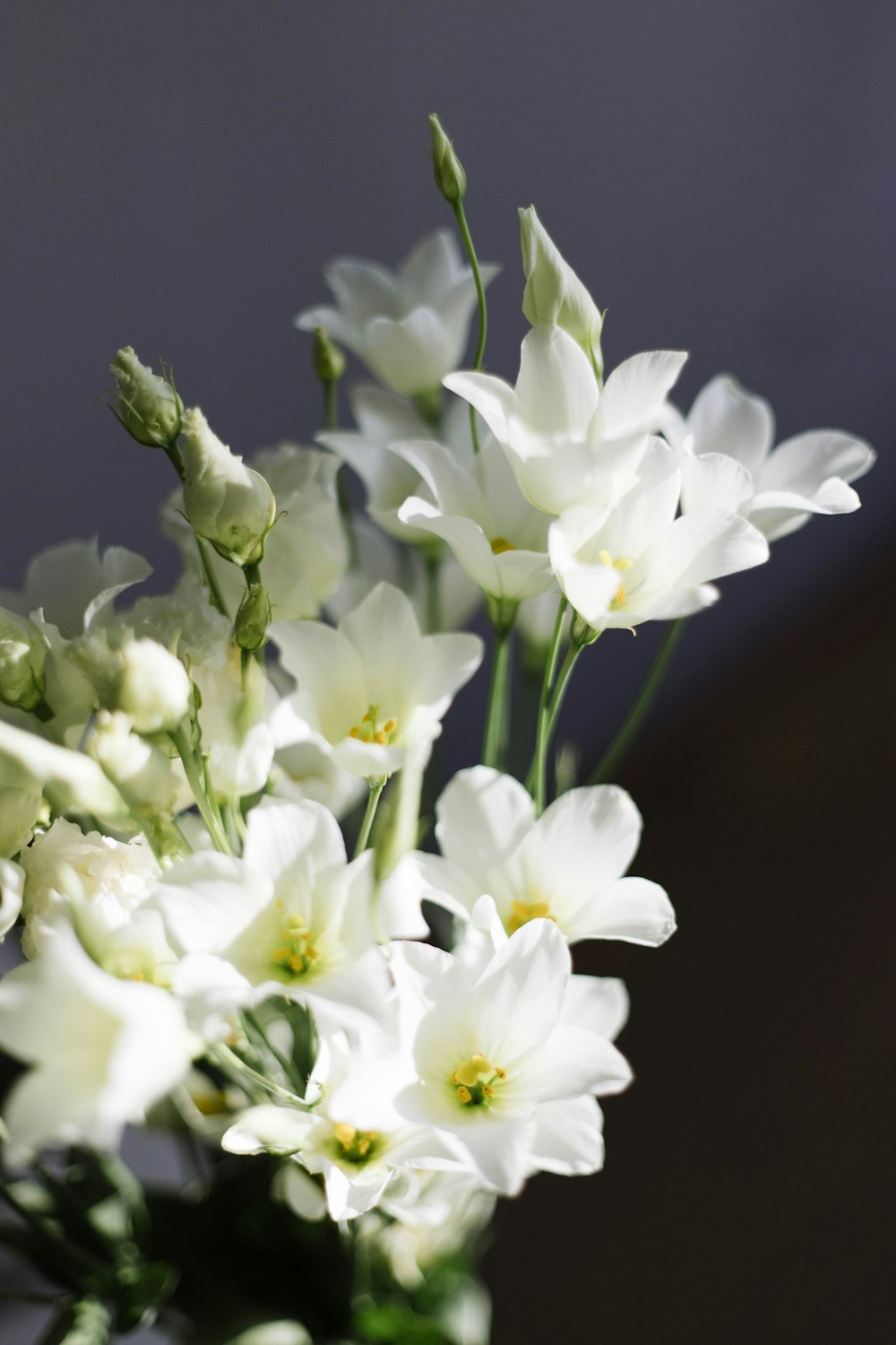 a vase filled with white flowers on top of a table