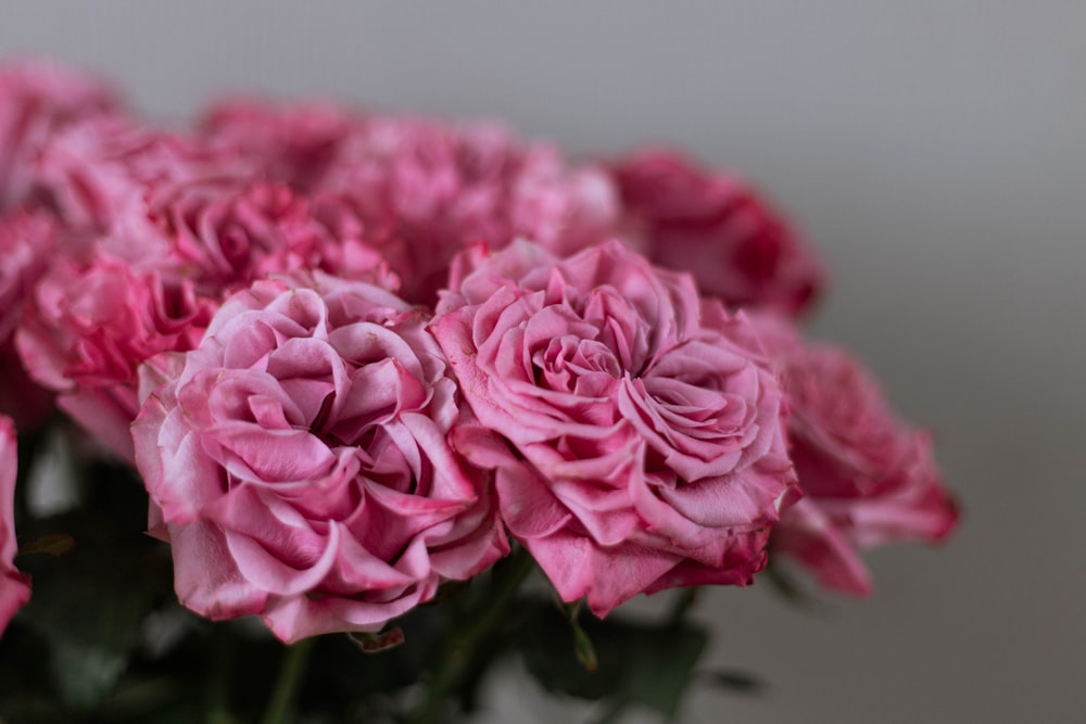 a bunch of pink roses in a vase