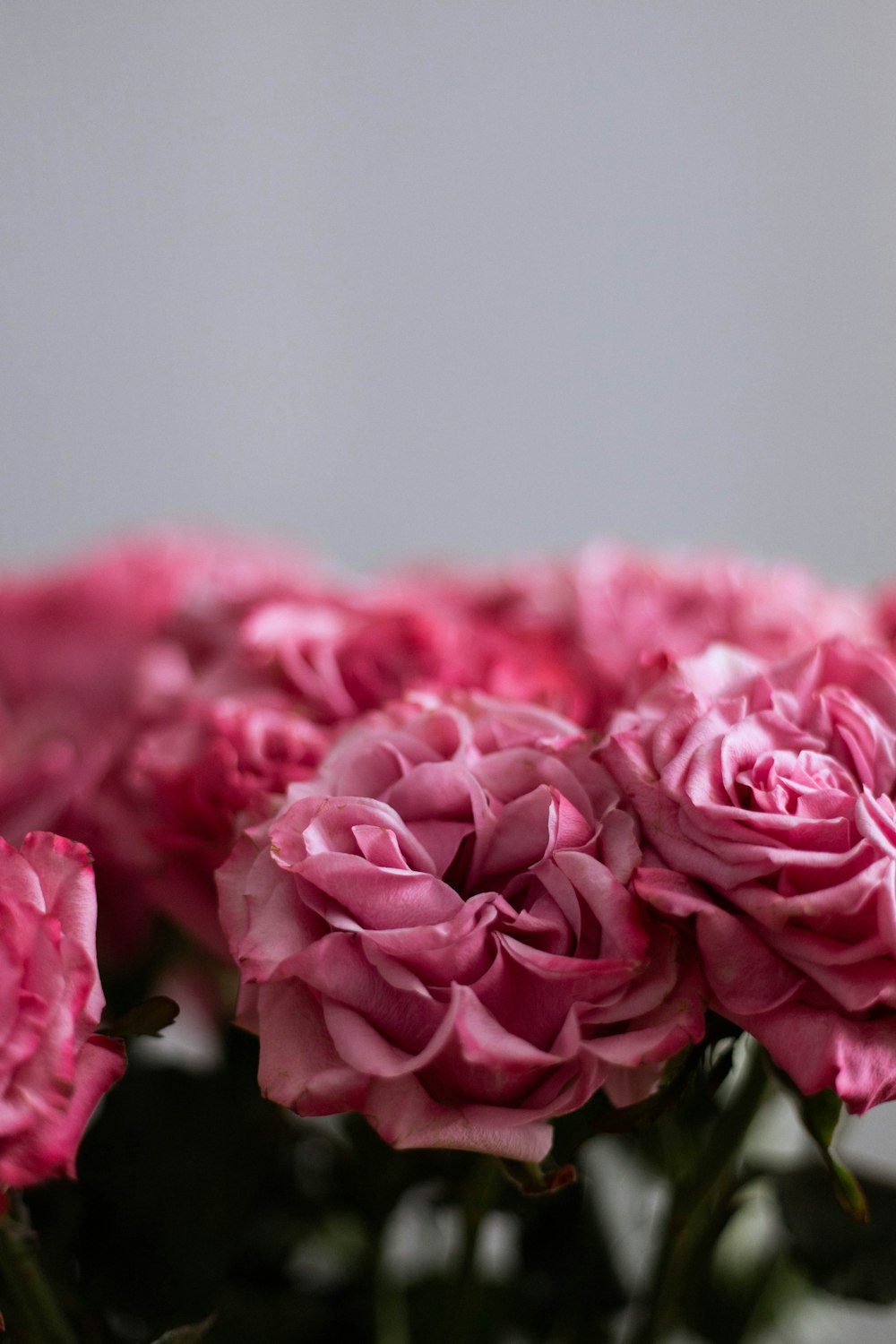 a vase filled with pink flowers on top of a table