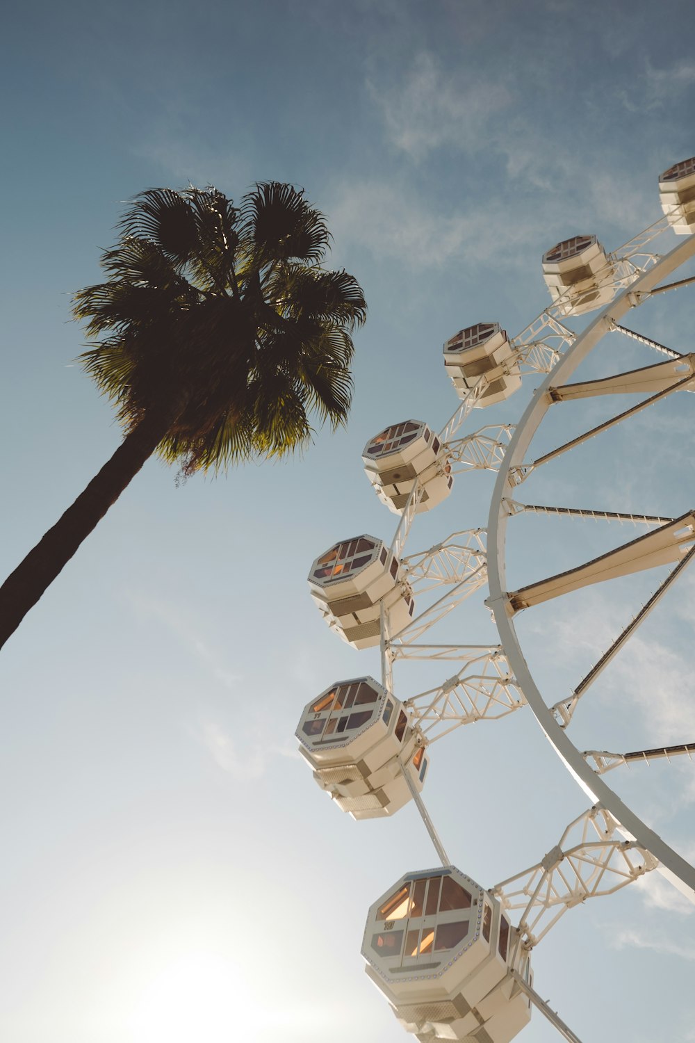a ferris wheel and a palm tree against a blue sky