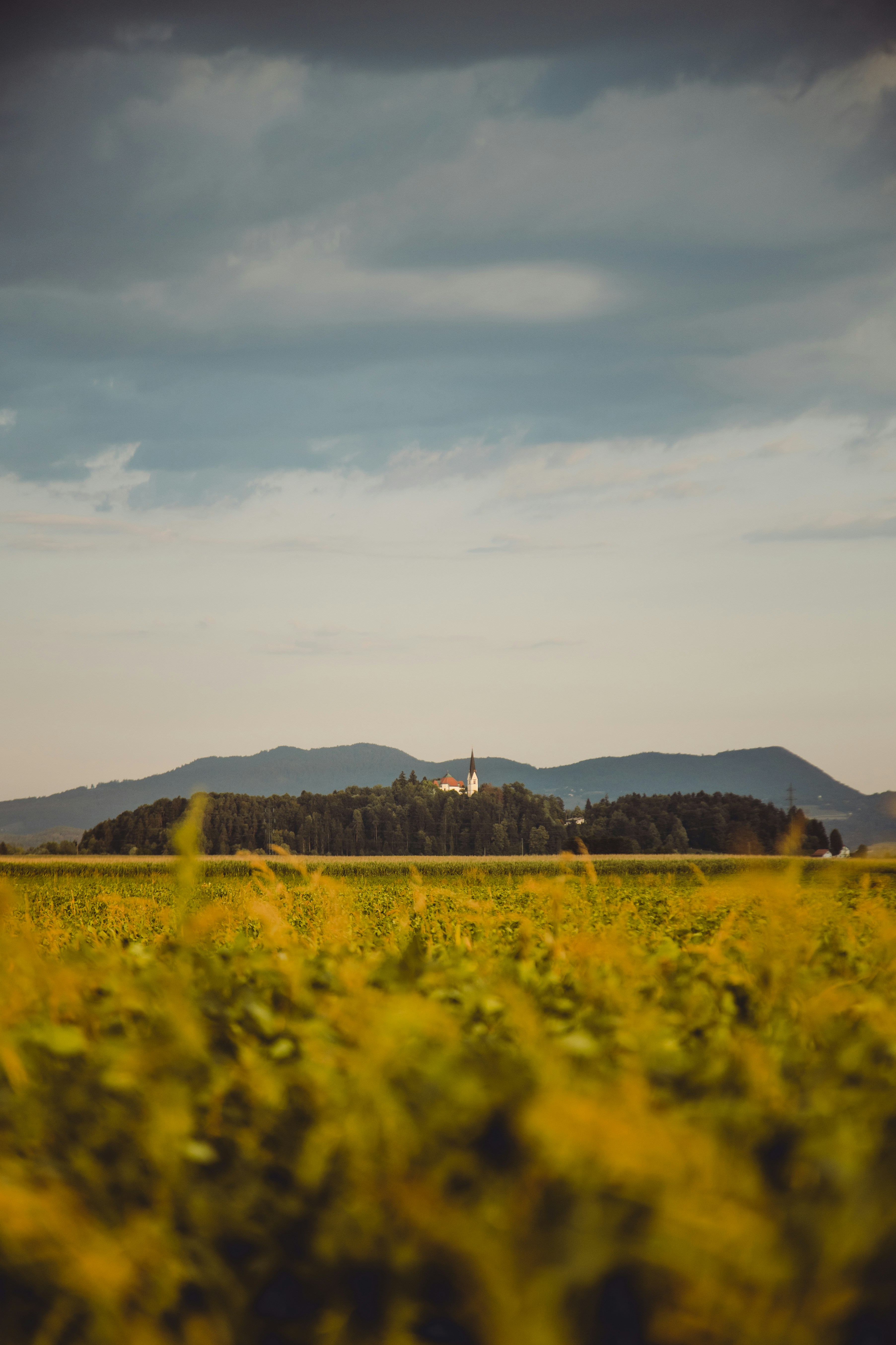 Photo by fossette_audrey