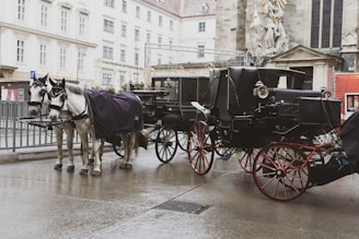 a couple of horses pulling a carriage down a street