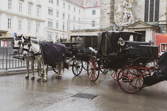 a couple of horses pulling a carriage down a street