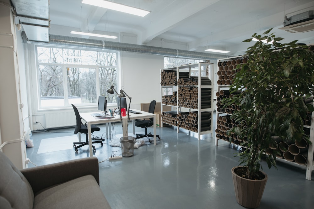 a room with a couch, a chair, a desk and a potted plant