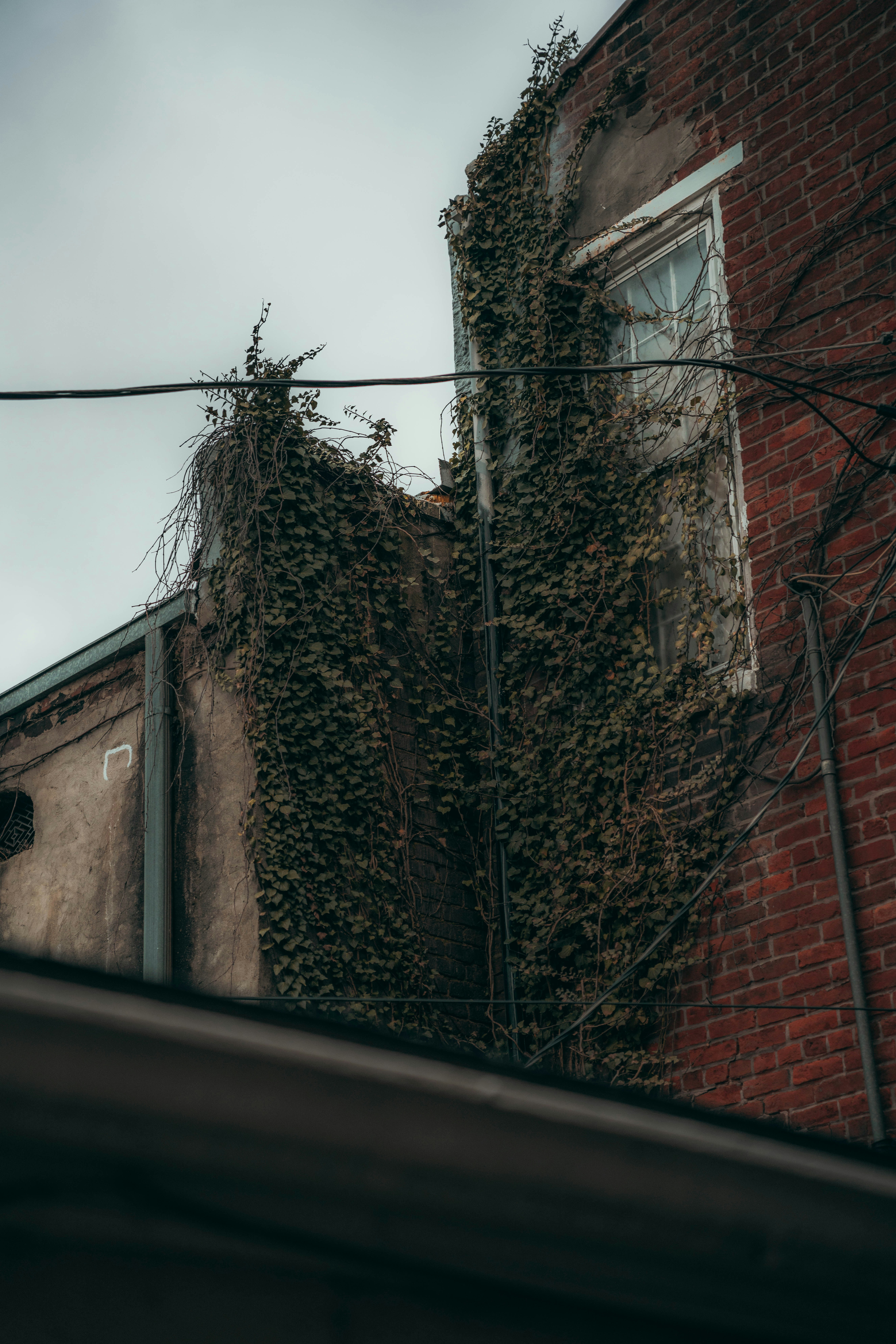 Photo by colemangloverphotography