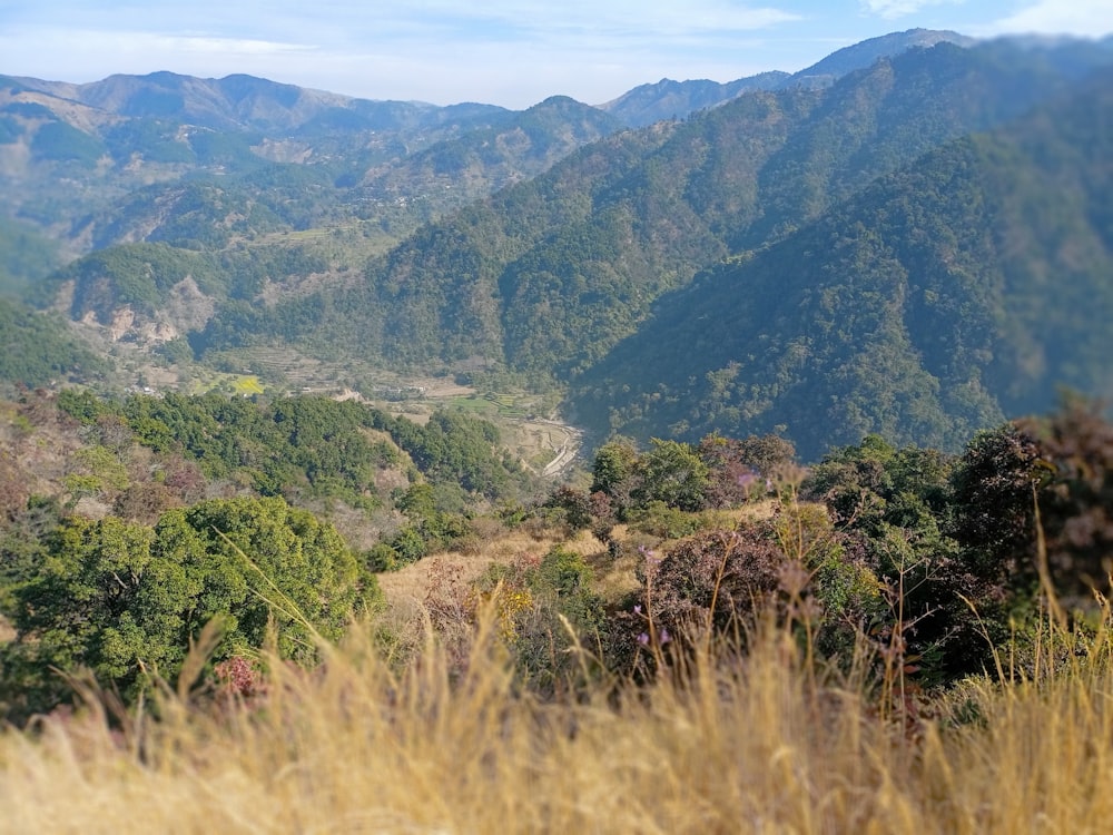 a view of a valley with mountains in the background