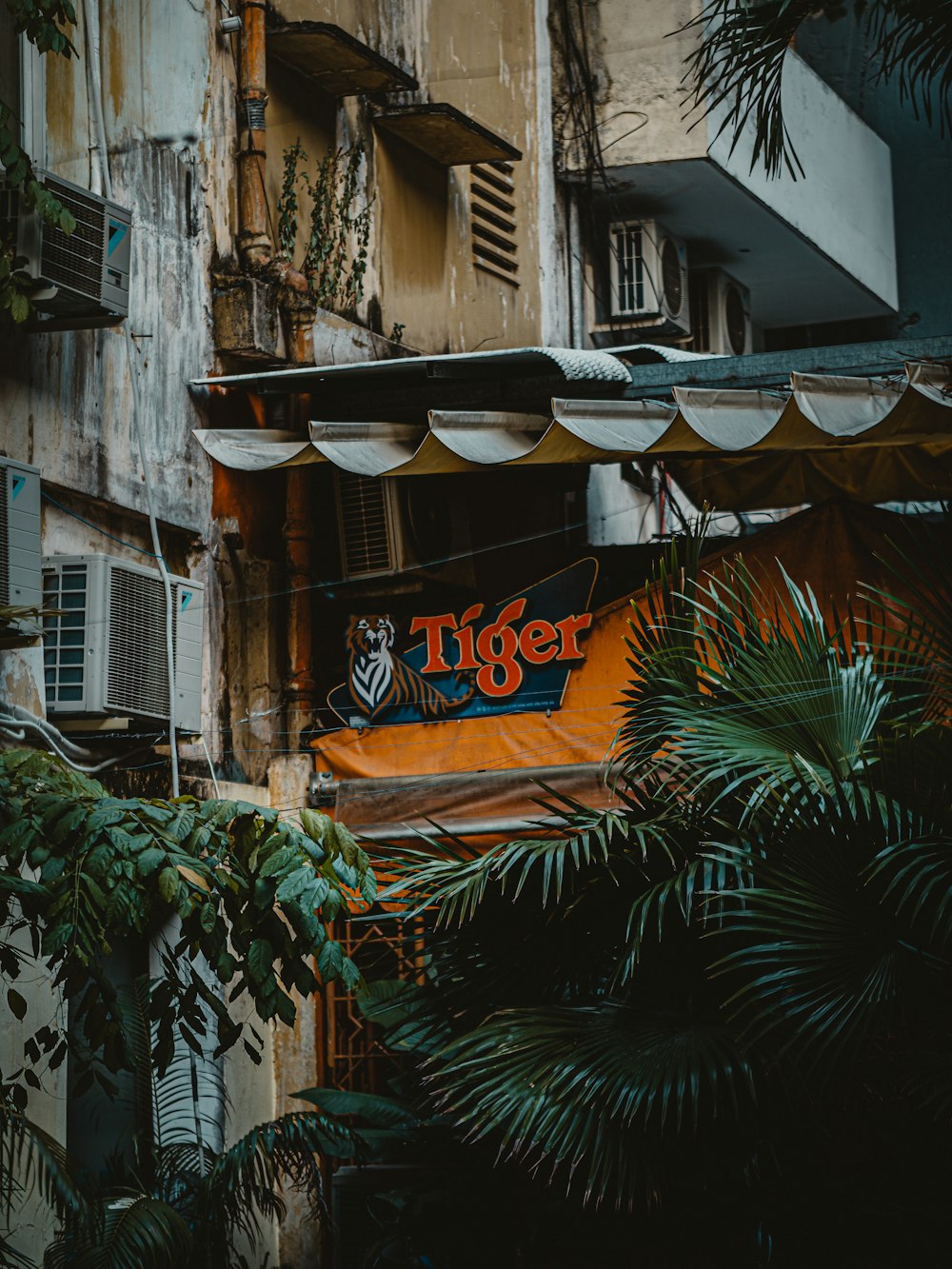 Un edificio que tiene un letrero de tigre en él