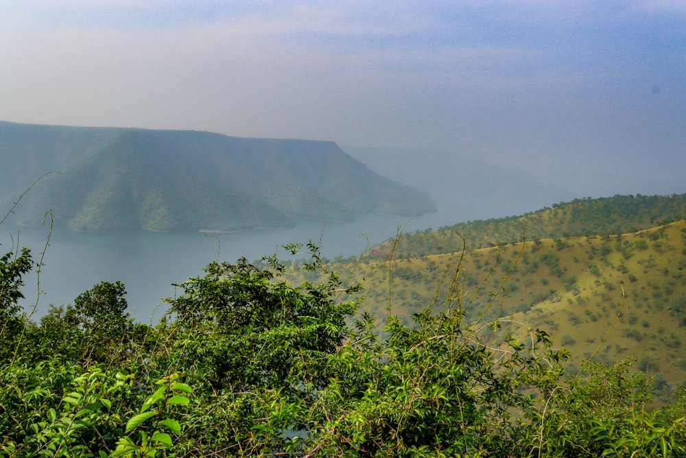 a view of a body of water surrounded by trees