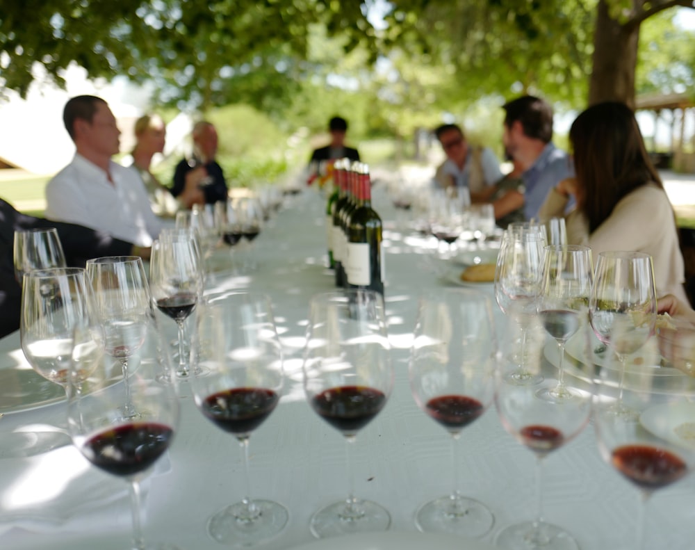 Un grupo de personas sentadas alrededor de una mesa con copas de vino