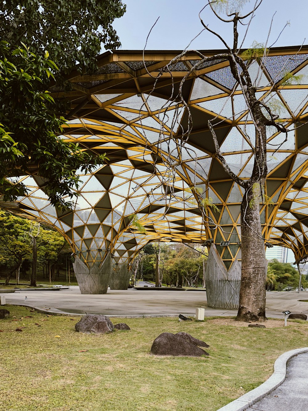 un grande edificio con un albero di fronte