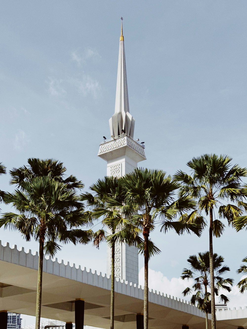 a white church steeple with palm trees in front of it