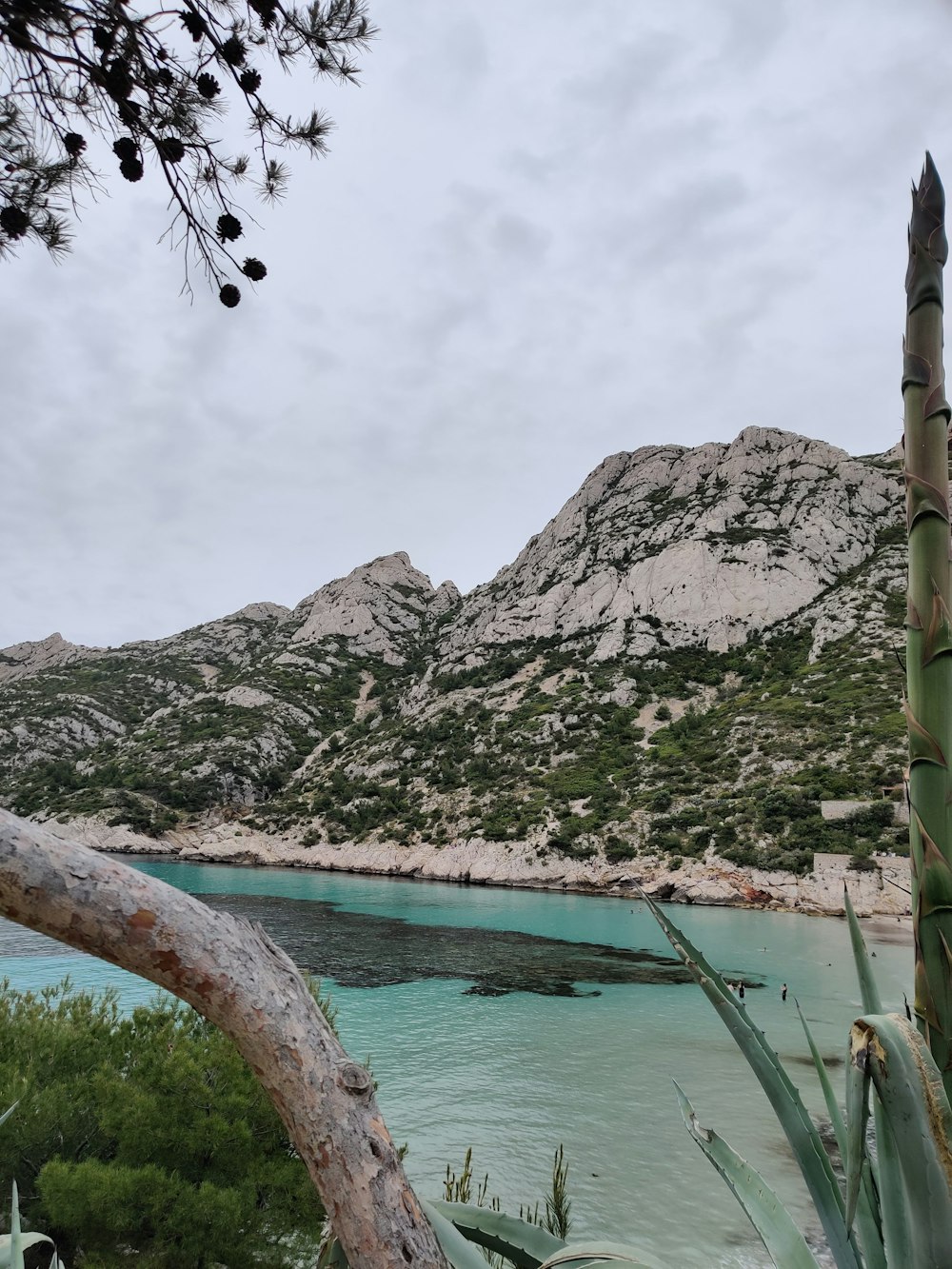 a body of water surrounded by mountains and trees