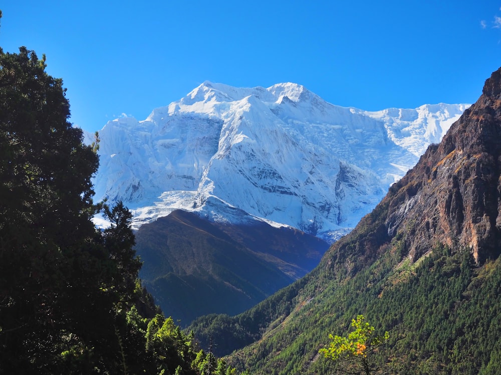 a view of a snow covered mountain from a distance