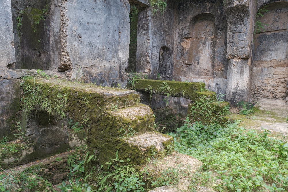 a stone building with moss growing on it