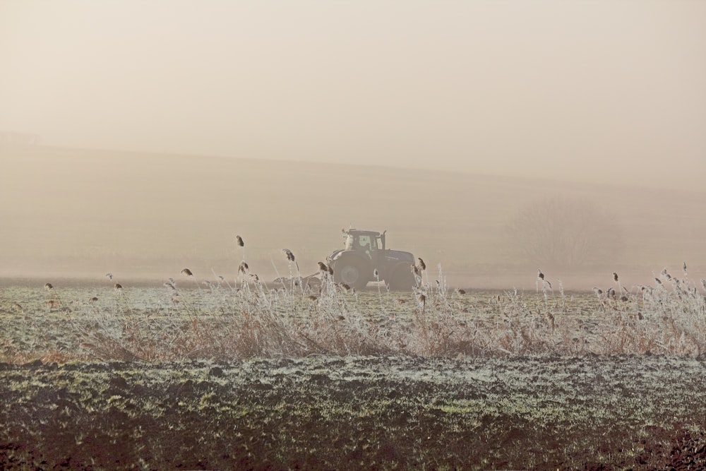 Un tractor en un campo de niebla con una bandada de pájaros