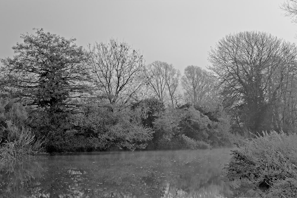 a black and white photo of a lake surrounded by trees