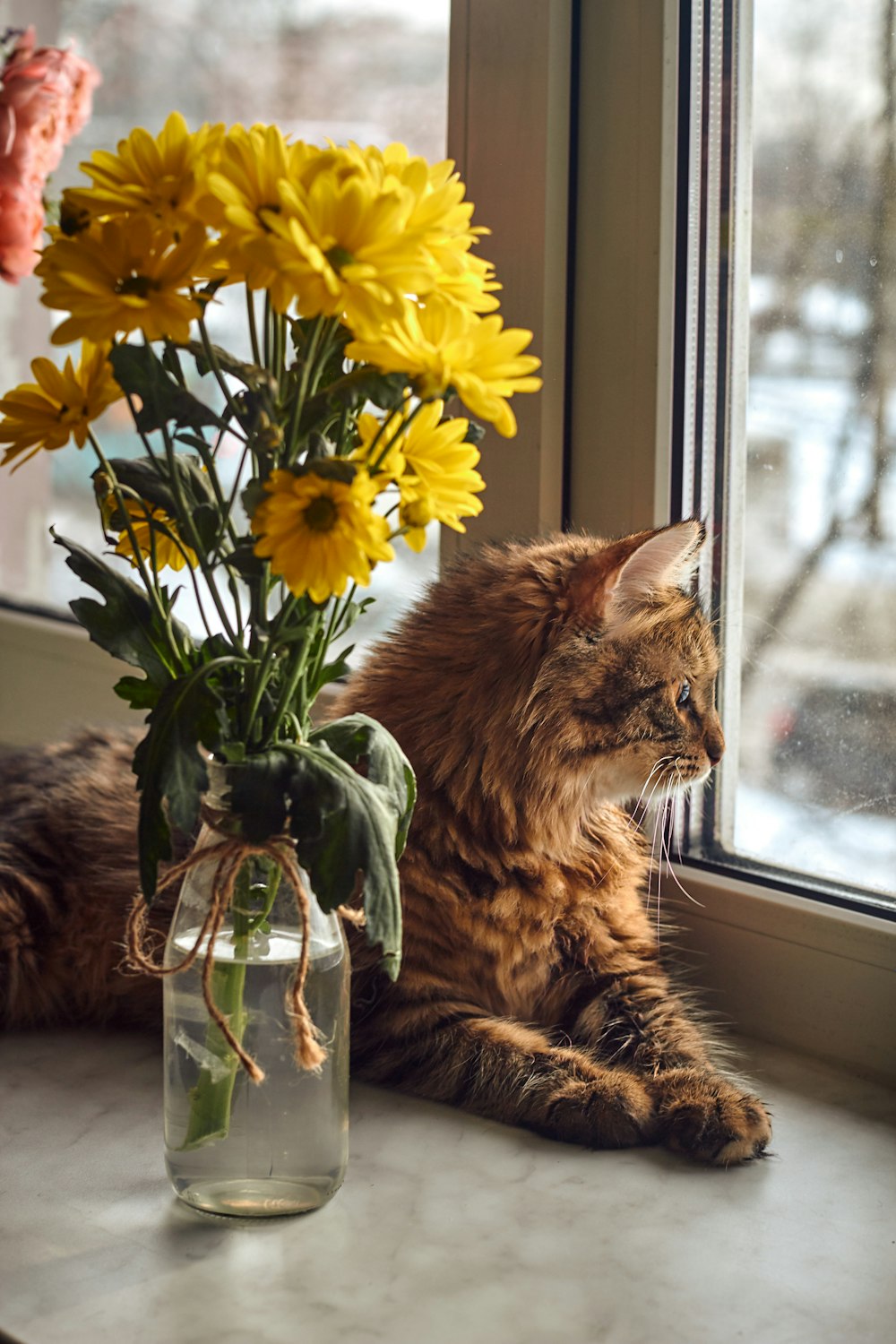 a cat sitting on a window sill next to a vase of flowers