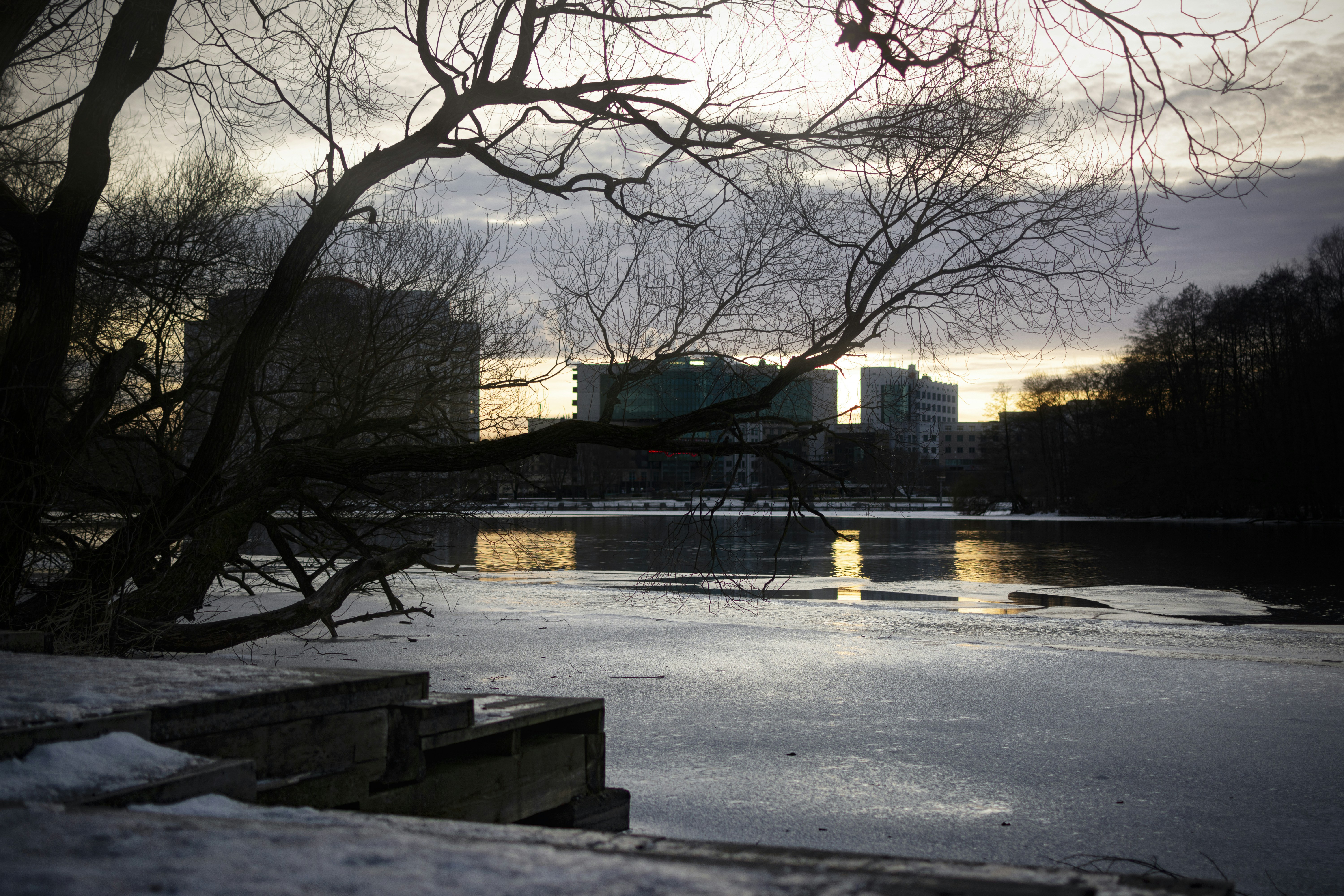 Photo by eadutskevich