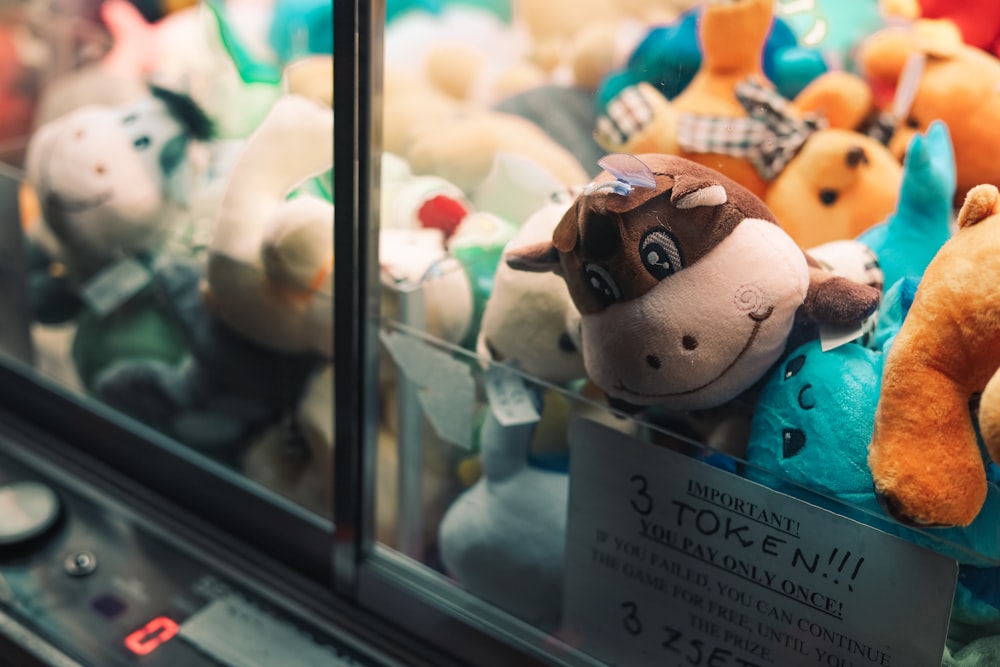a display case filled with lots of stuffed animals photo – Free Hungary  Image on Unsplash