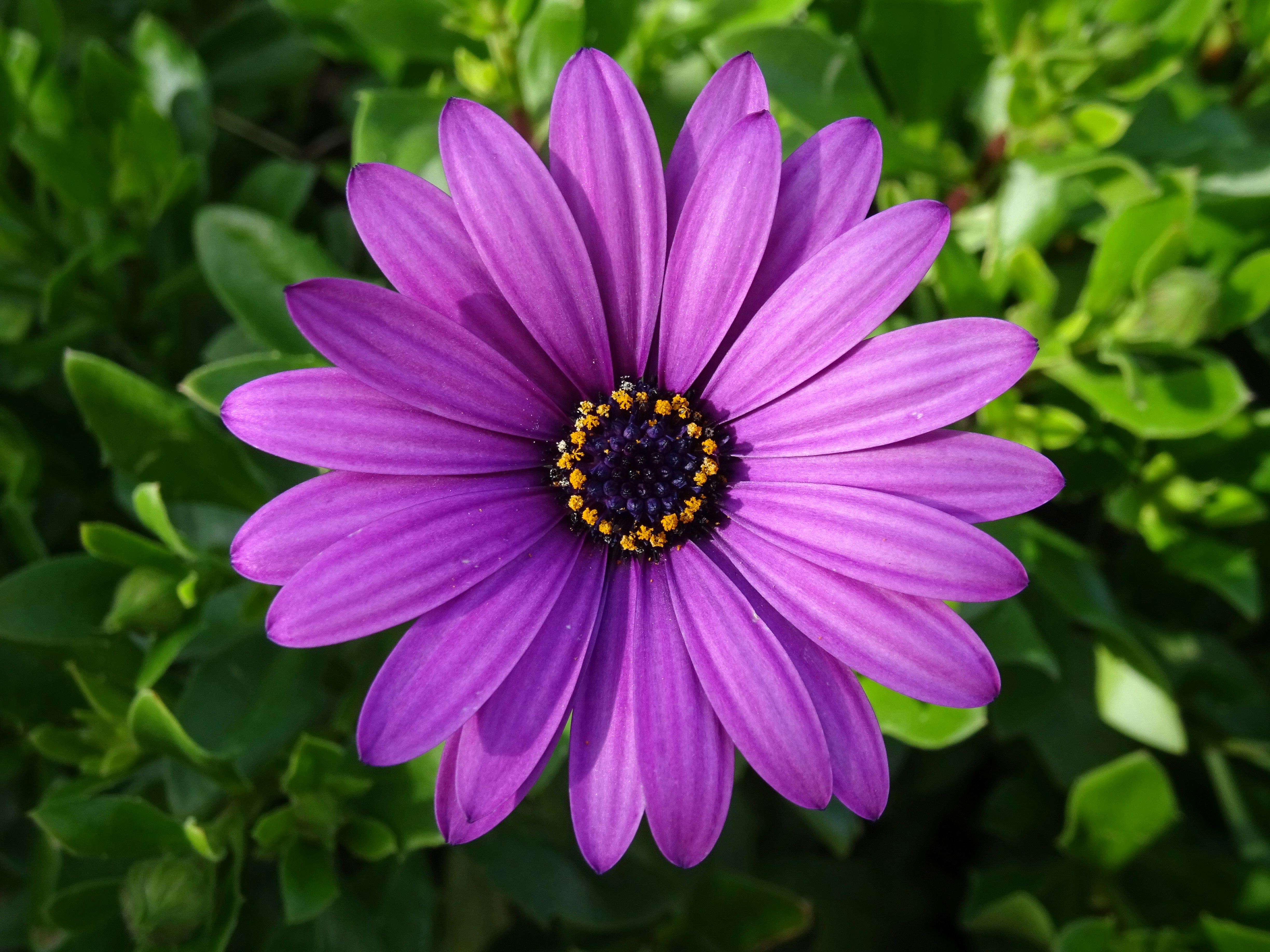 Photo by ludovico_06