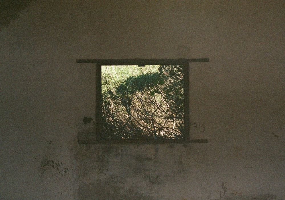 a window in a wall with a tree in it