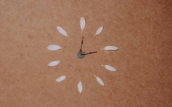 Minimalist Chinese brush strokes depicting a clock intertwined with natural elements