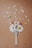 A paintbrush is adorned with fresh daisies and a few small red flowers. Petals are scattered around, creating a dynamic and artistic composition on a brown textured background.