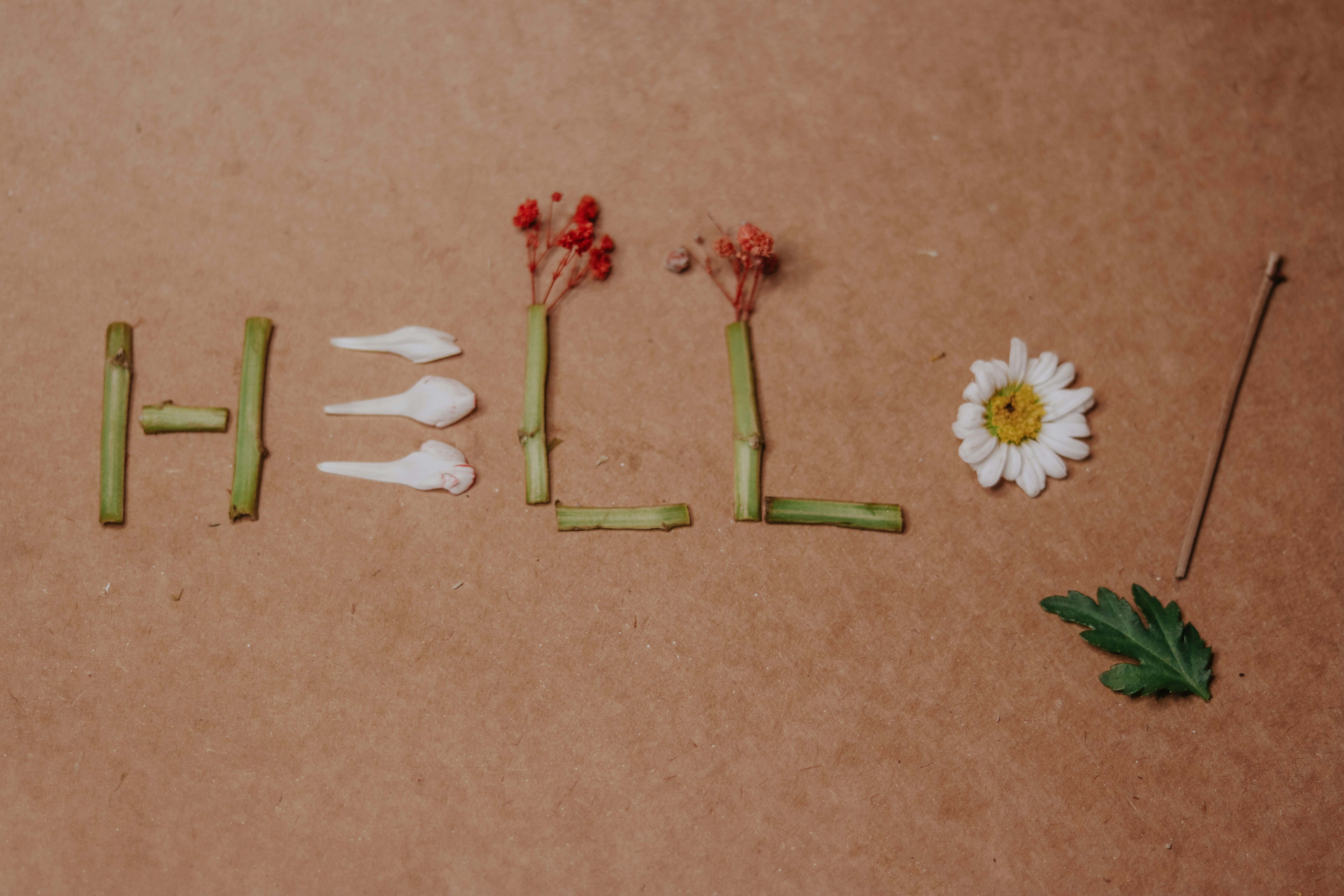 https://images.unsplash.com/photo-1676483924745-5468bafbb027?ixid=M3w2MjYzNjJ8MHwxfHNlYXJjaHw5fHxPbG98ZW58MHwwfHx8MTc1MzEyNjIwN3ww&ixlib=rb-4.1.0