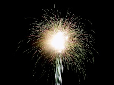 a fireworks is lit up in the dark sky