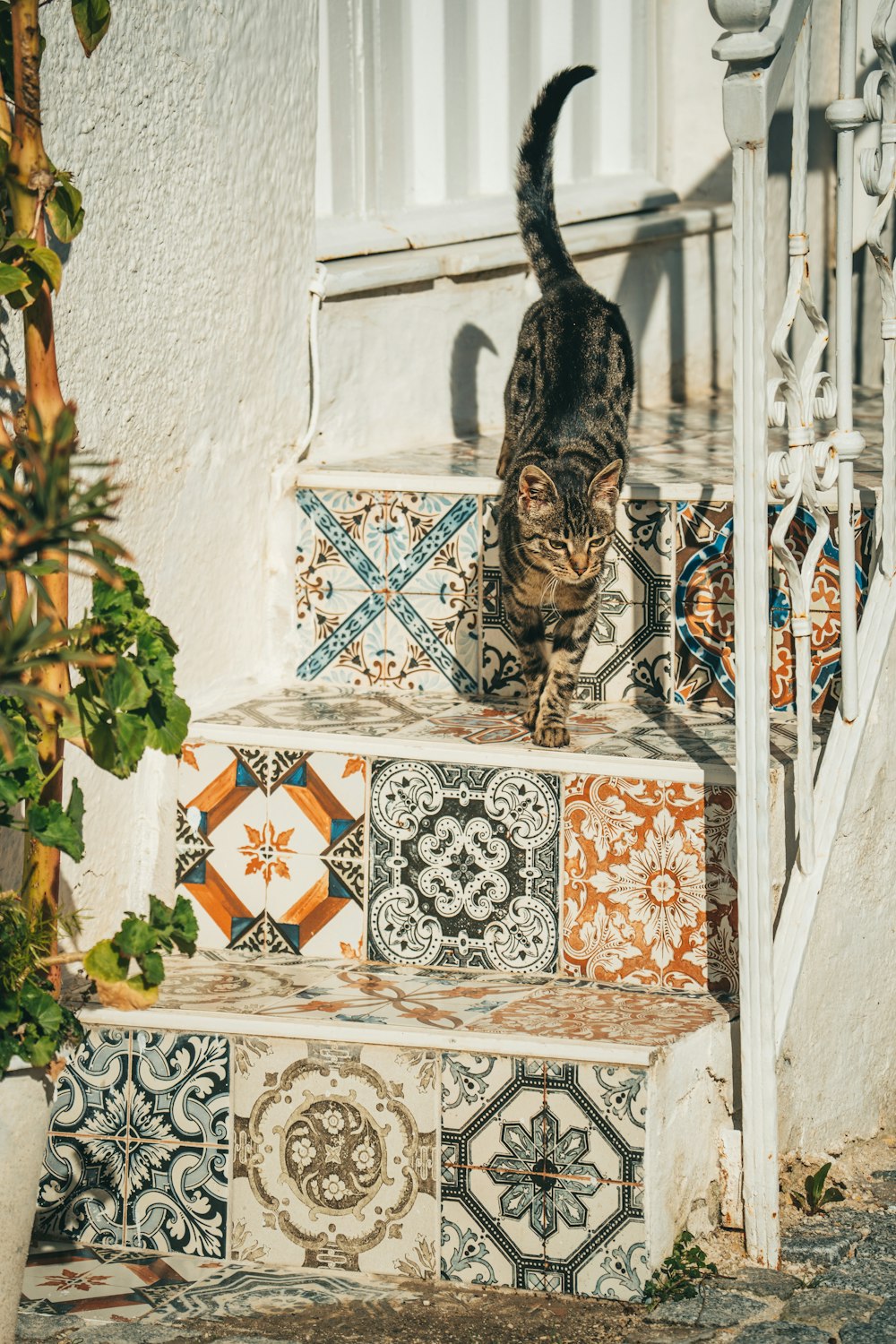 a cat walking up a set of stairs