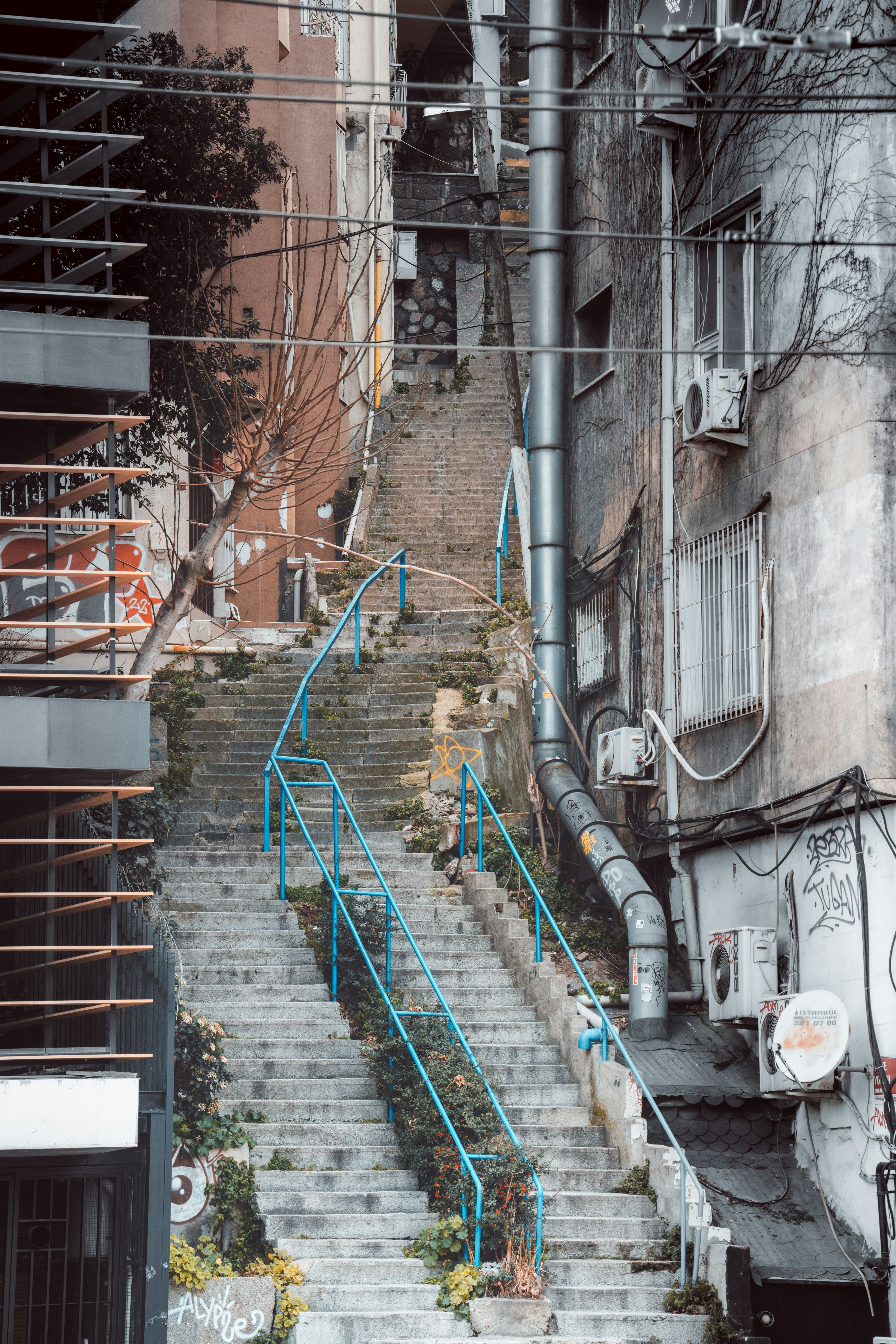 Photo by amojourney
