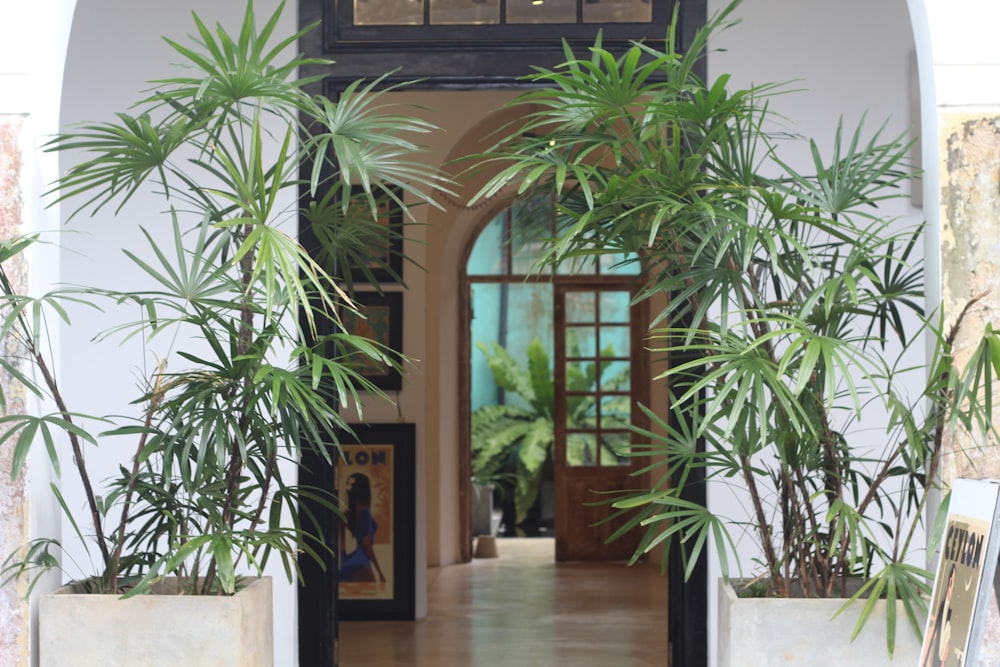 a hallway with potted plants and a clock on the wall