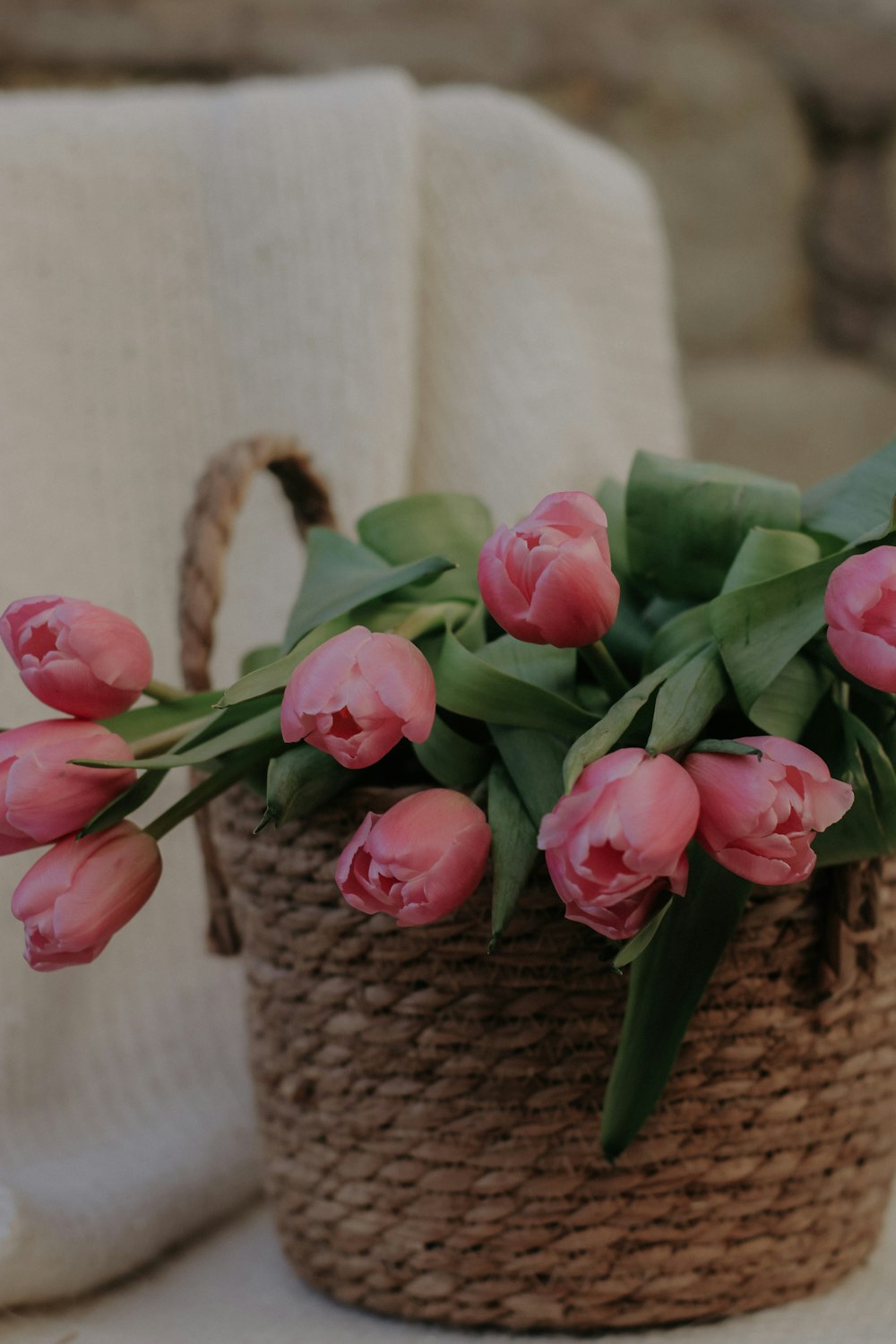 a basket of pink tulips on a chair