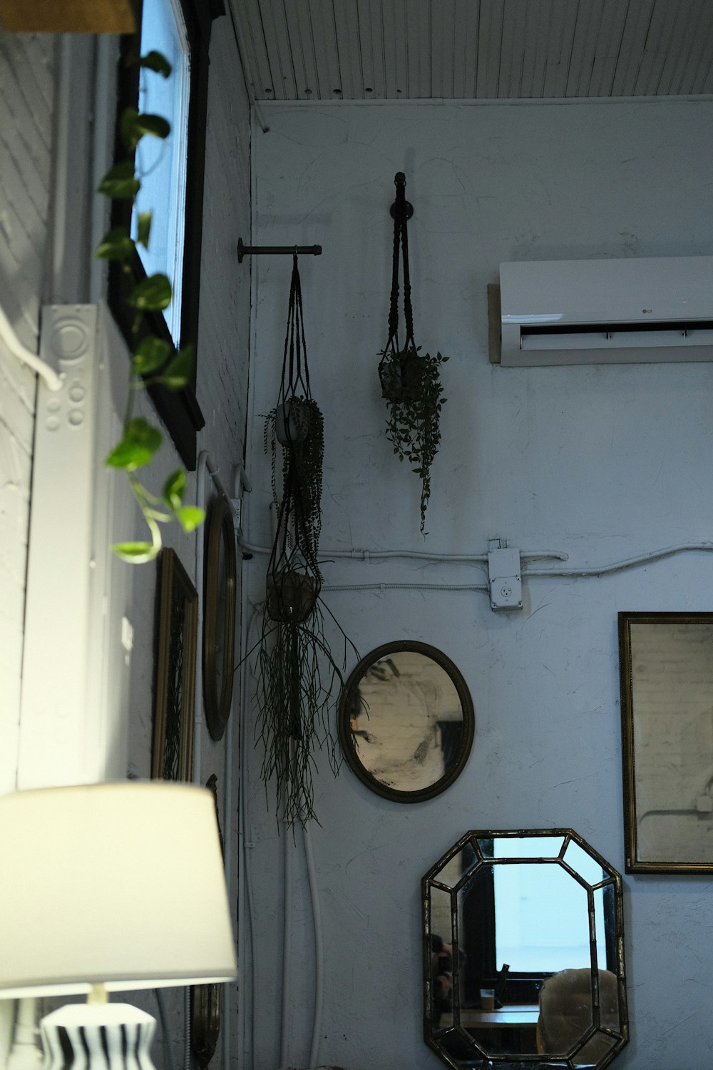 a room with mirrors and plants hanging on the wall