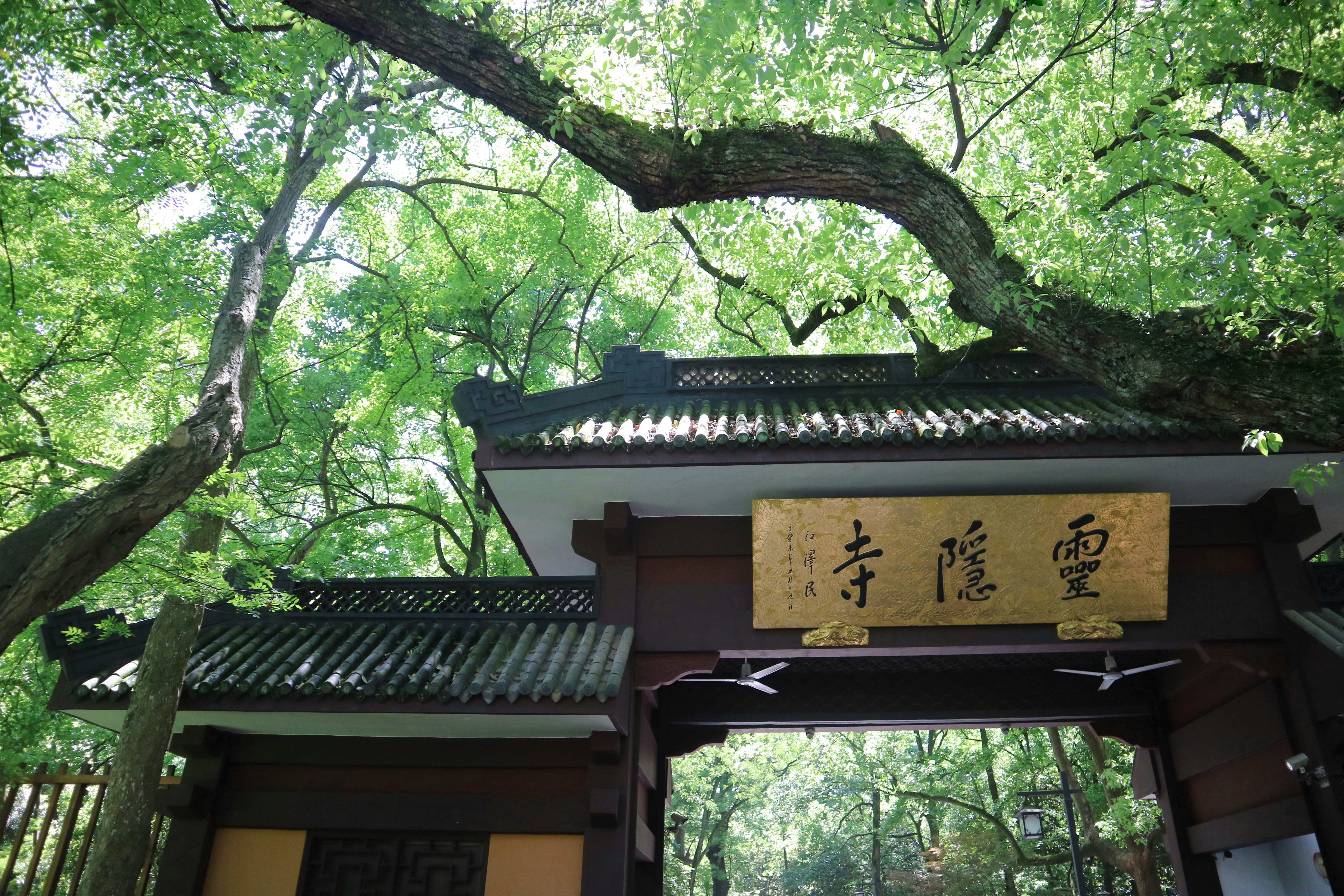 Photo by hongtonglin