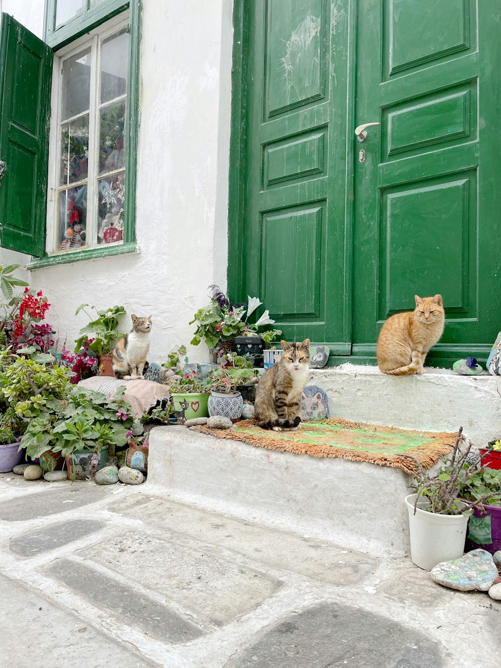 a group of cats sitting on a step in front of a green door