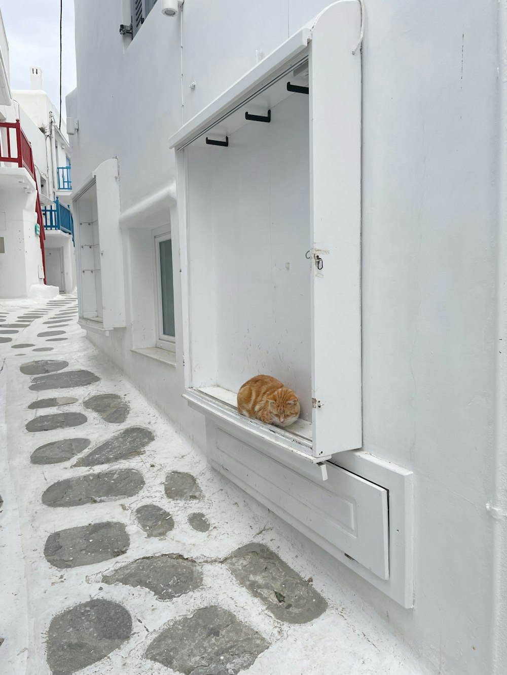 an orange cat sleeping in a window of a white building