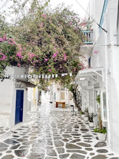 A narrow cobblestone street lined with bougainvillea flowers in a Lefkada village.