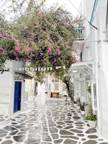 Sunlit narrow street in Parikia lined with whitewashed buildings and vibrant bougainvillea.