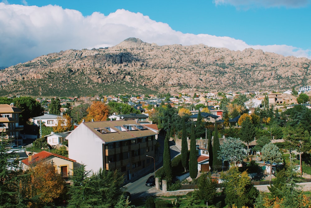 a view of a city with a mountain in the background