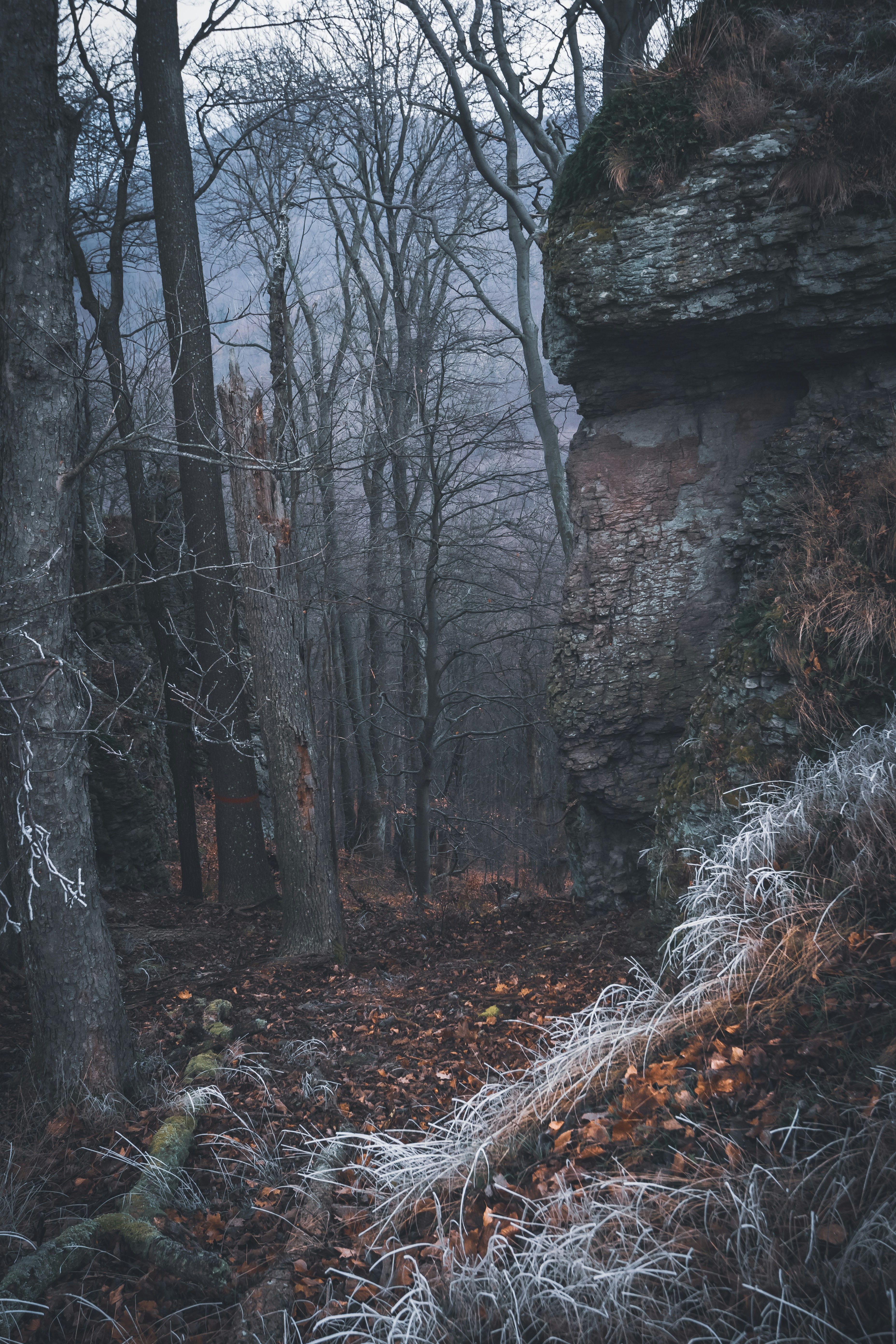 A serene nature scene promoting health and well-being