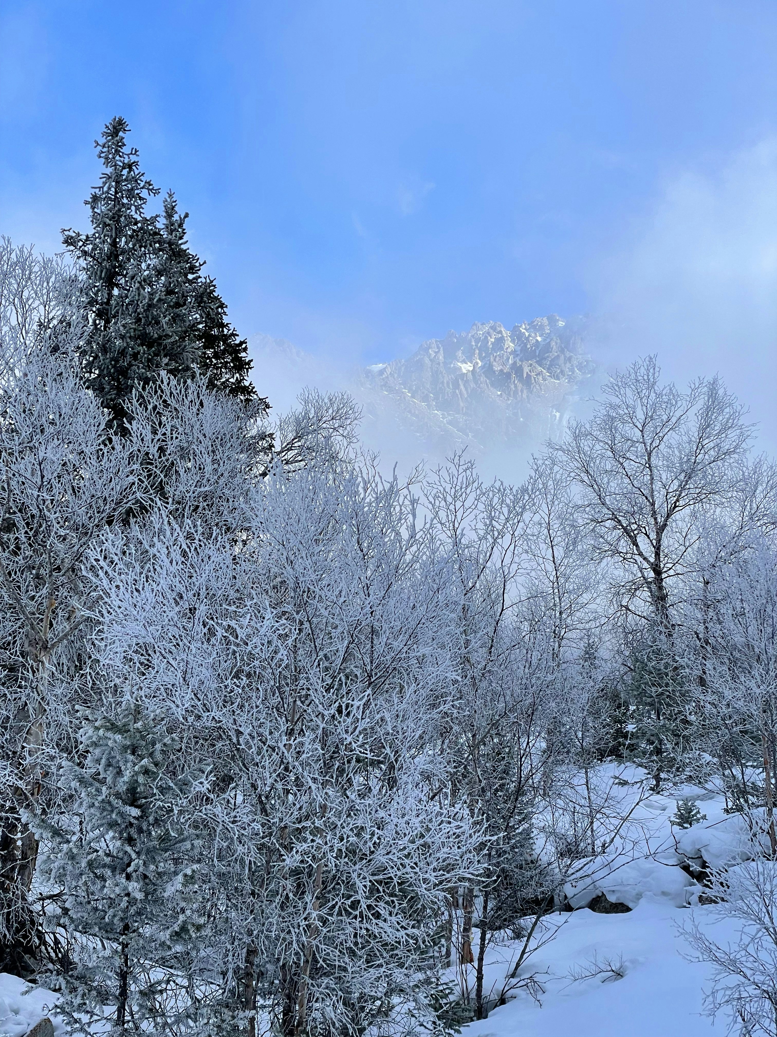 Photo by whoisrobinhood