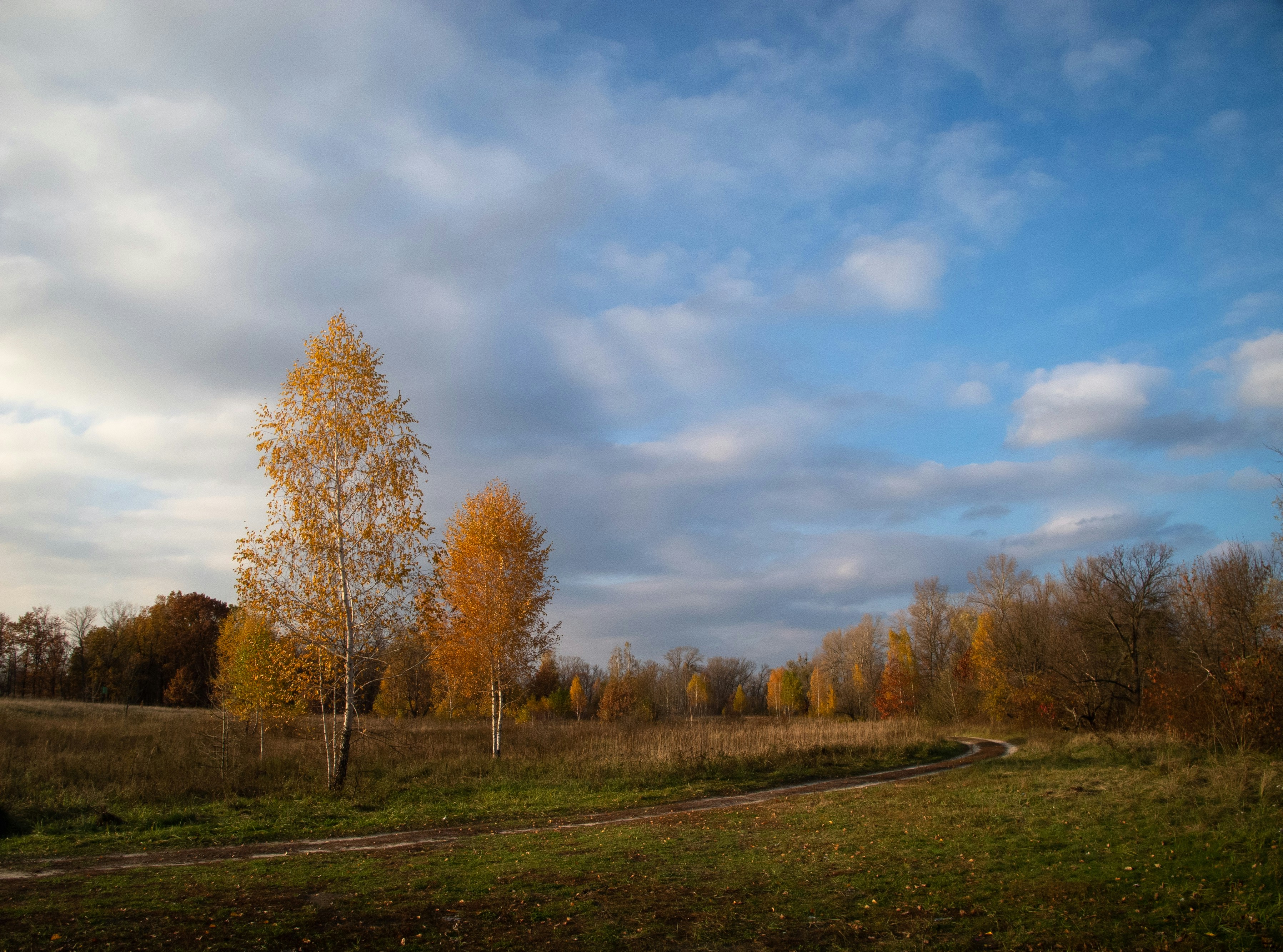 Photo by sevencolors