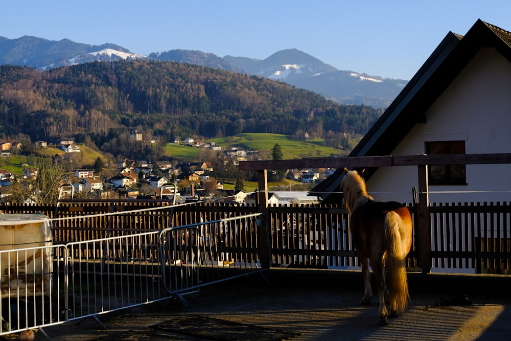 a brown horse standing on top of a lush green hillside