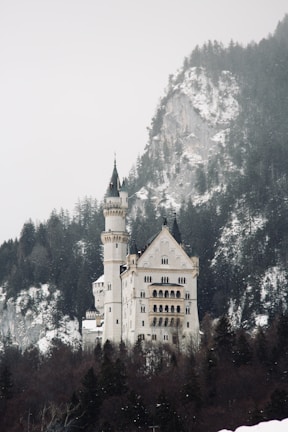 An illustration of a classic fairy tale scene.