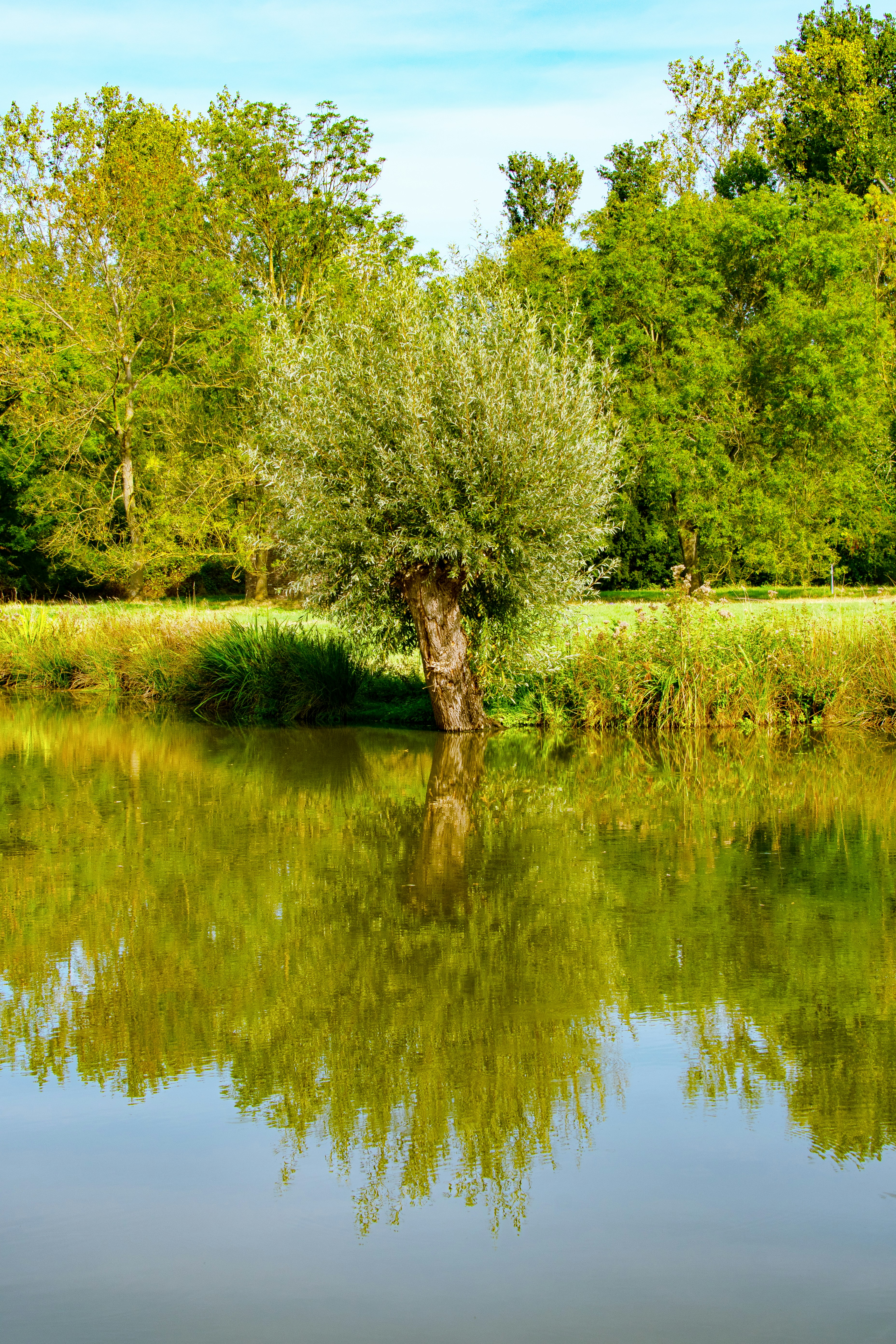 Photo by siegfriedpoepperl