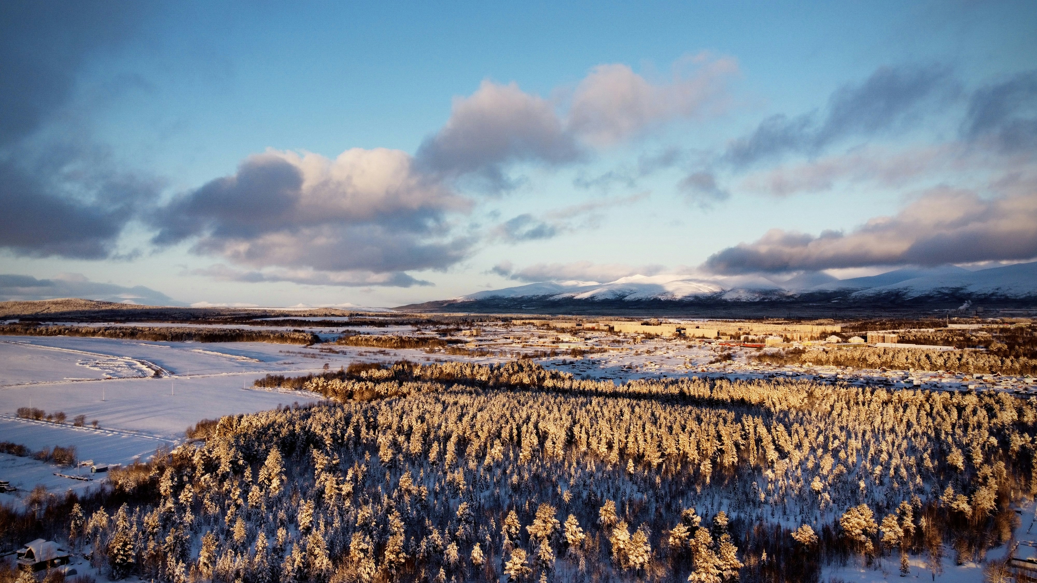 Nutrient Cycling: The Hidden Chemistry of Change (image credits: unsplash)